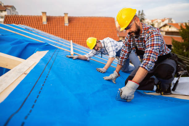 Fast & Reliable Emergency Roof Repairs in Moultrie, GA